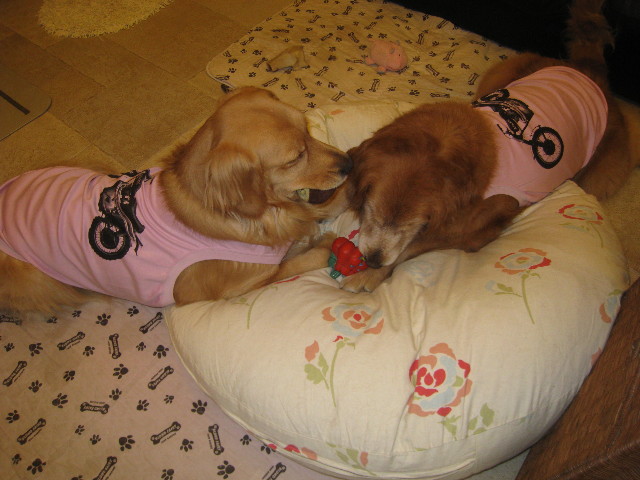 ファイル 815-5.jpg