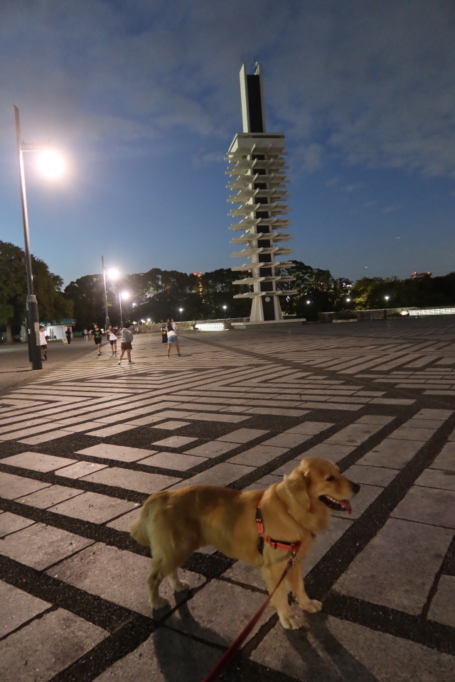 ファイル 8150-3.jpg