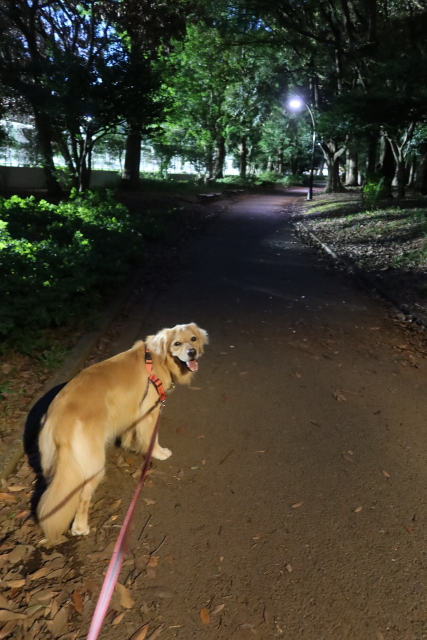 ファイル 8150-4.jpg