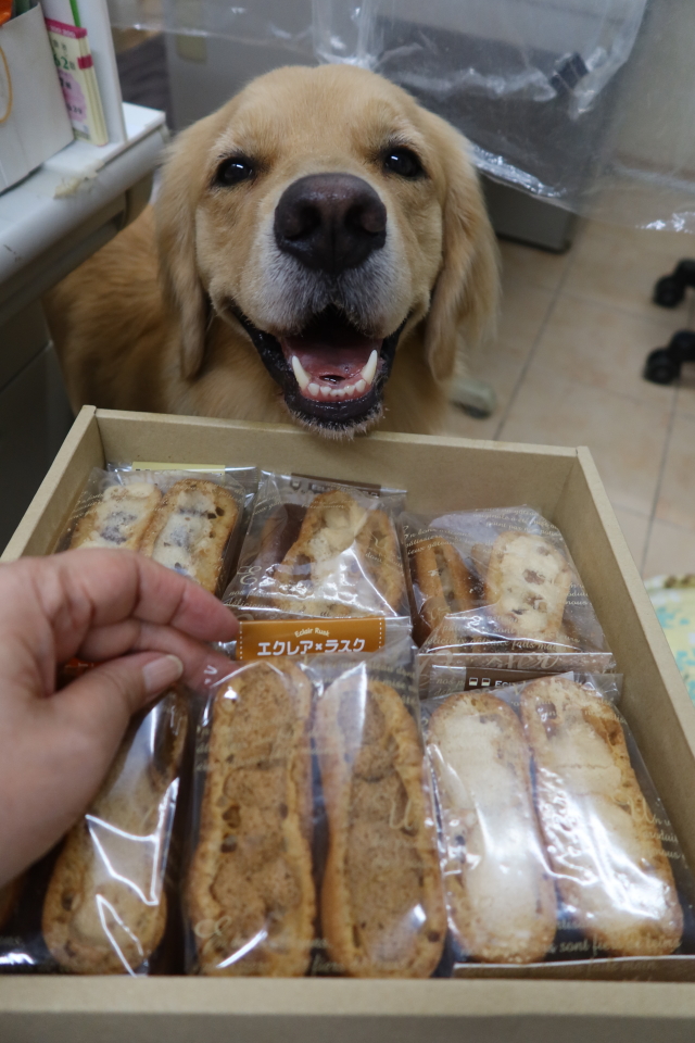 ファイル 8155-5.jpg