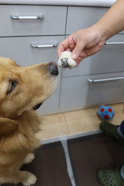 ファイル 8156-3.jpg