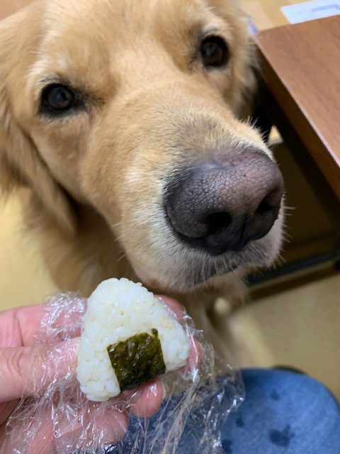 ファイル 8156-4.jpg