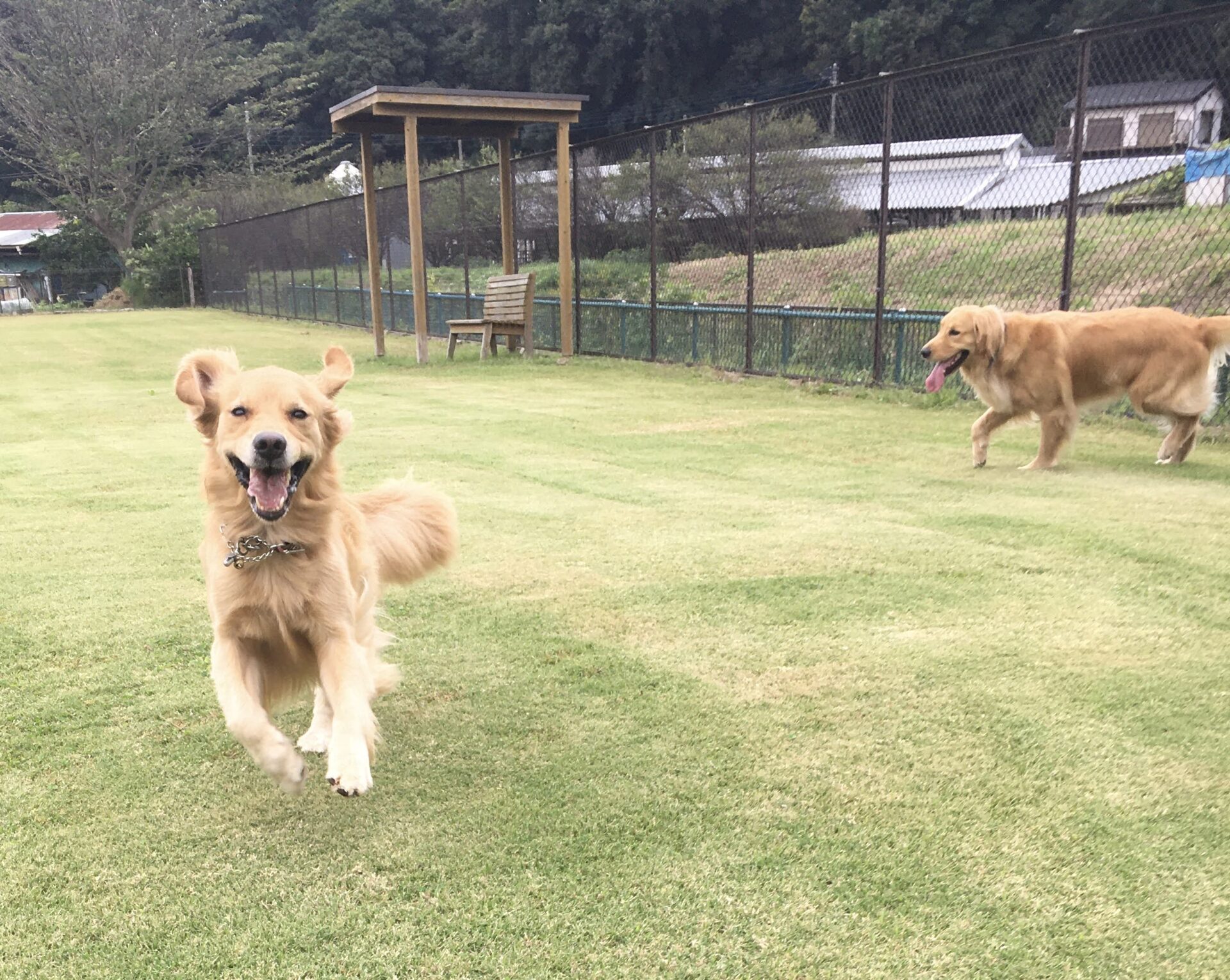 ファイル 8157-2.jpeg