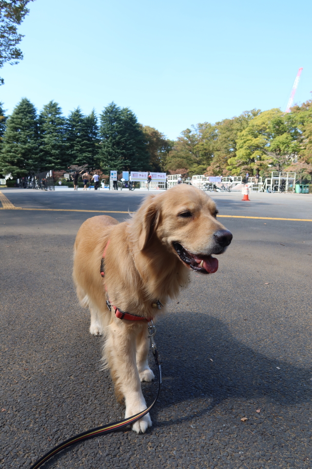 ファイル 8159-2.jpg