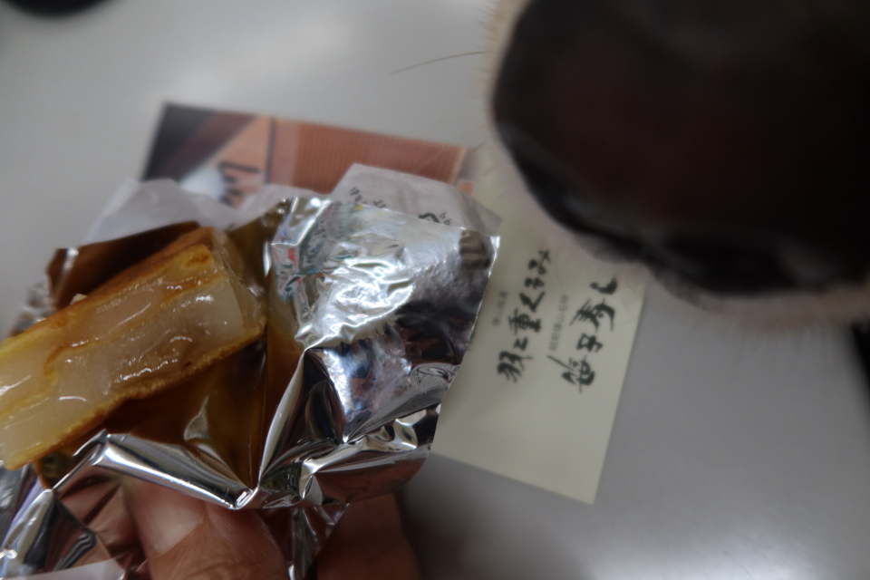 ファイル 8159-5.jpg