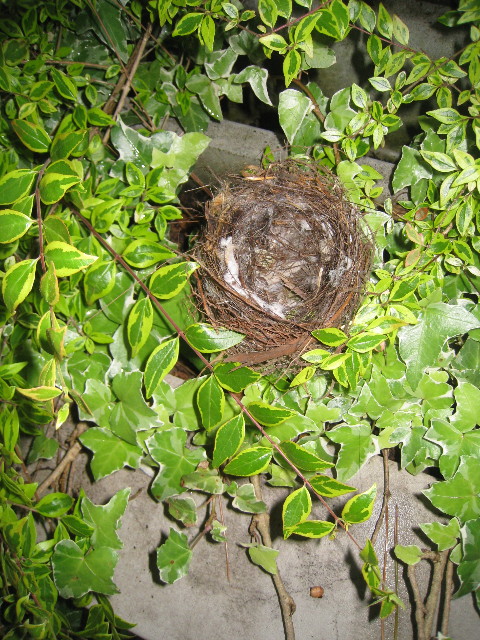 ファイル 816-1.jpg