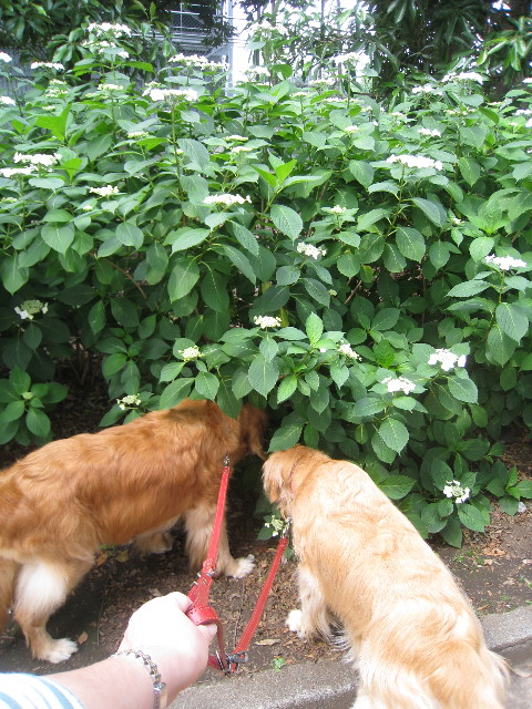 ファイル 816-3.jpg