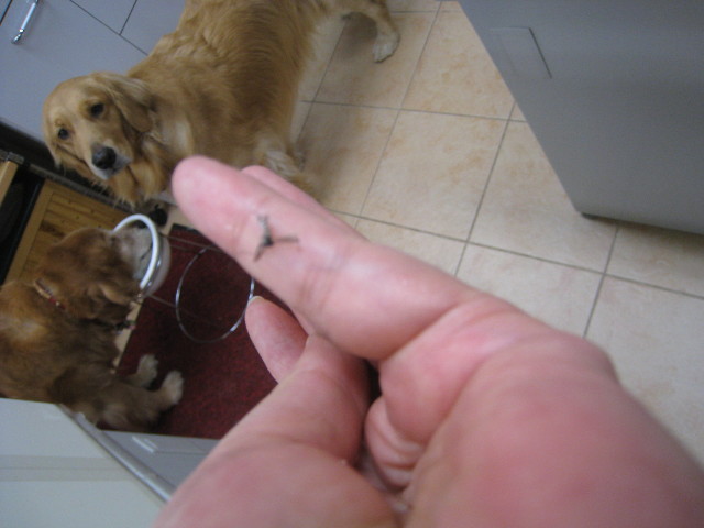 ファイル 816-4.jpg