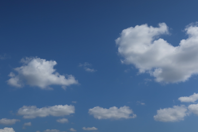 ファイル 8160-1.jpg