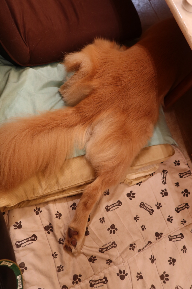 ファイル 8160-2.jpg