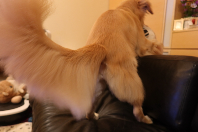 ファイル 8162-3.jpg