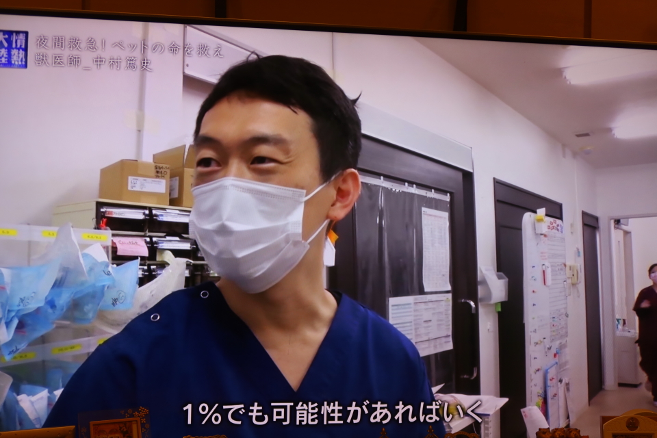 ファイル 8163-1.jpg