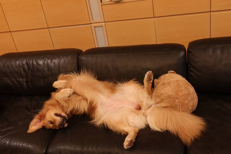 ファイル 8163-5.jpg