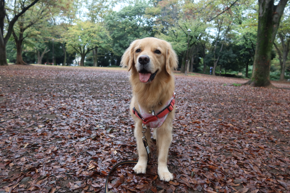 ファイル 8164-4.jpg