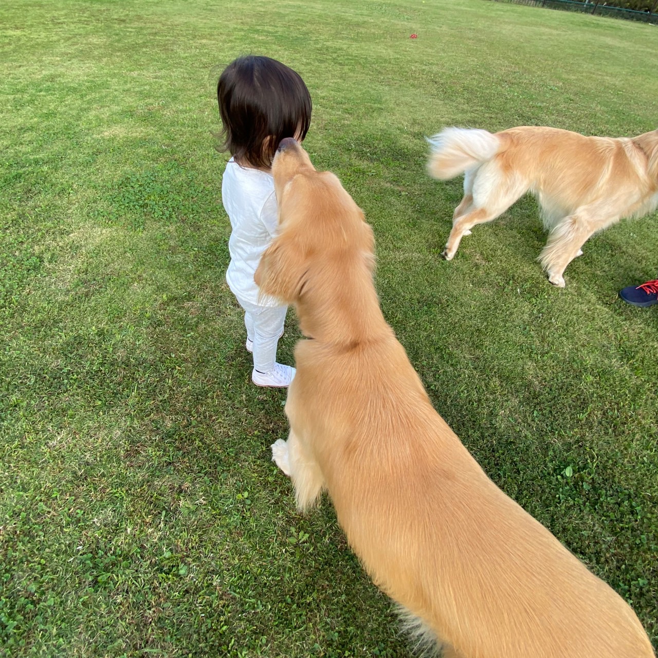 ファイル 8165-3.jpeg