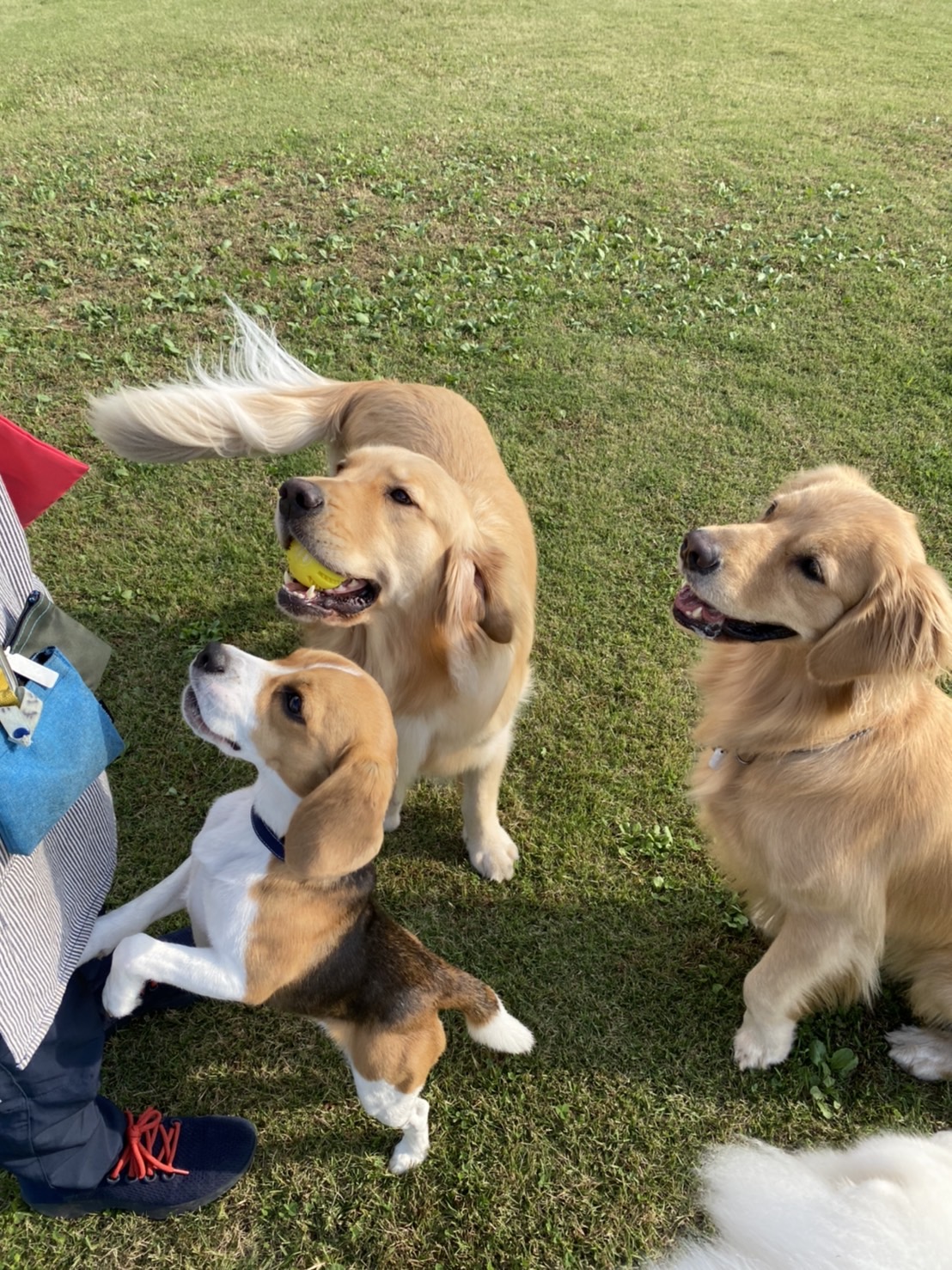 ファイル 8165-4.jpeg