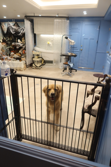 ファイル 8166-2.jpg