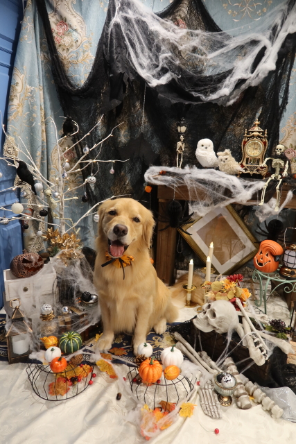 ファイル 8166-4.jpg