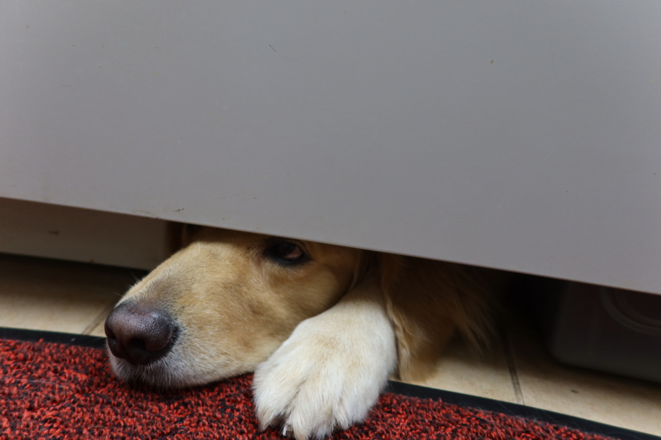 ファイル 8168-2.jpg