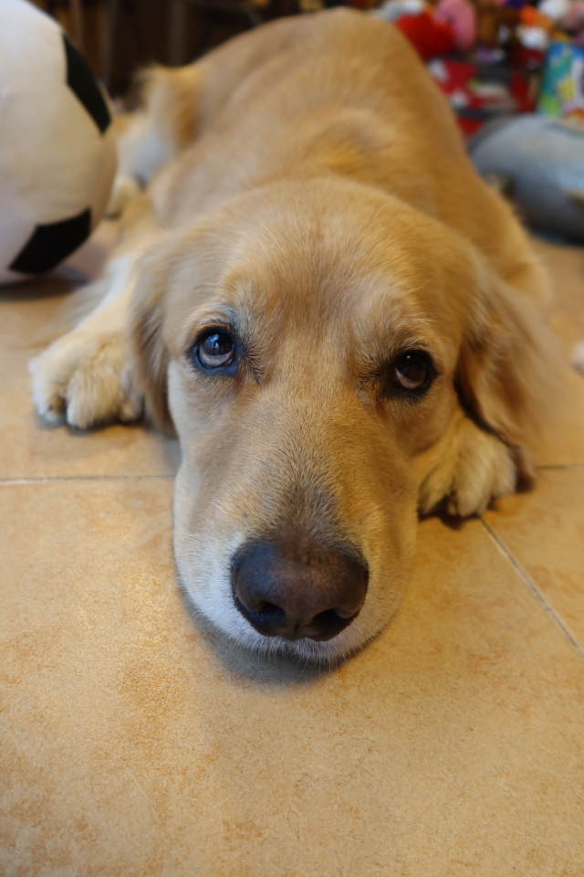 ファイル 8168-4.jpg