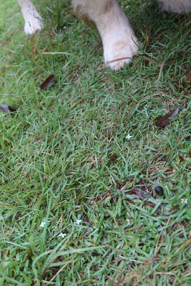 ファイル 8169-3.jpg