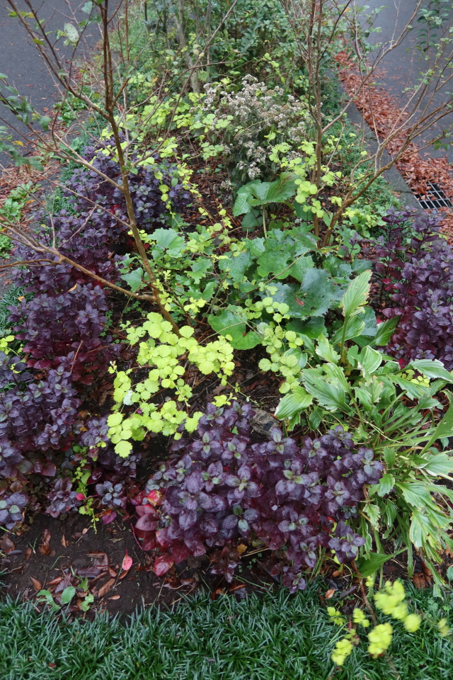 ファイル 8169-5.jpg