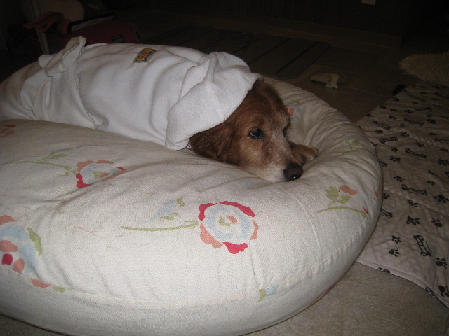 ファイル 817-4.jpg