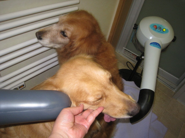 ファイル 817-5.jpg