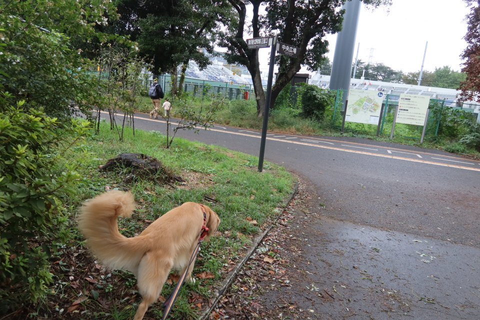 ファイル 8170-3.jpg