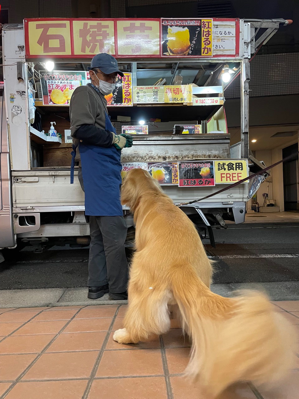 ファイル 8171-2.jpeg