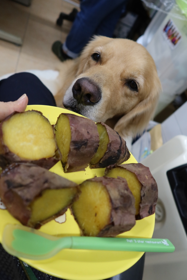 ファイル 8171-5.jpg