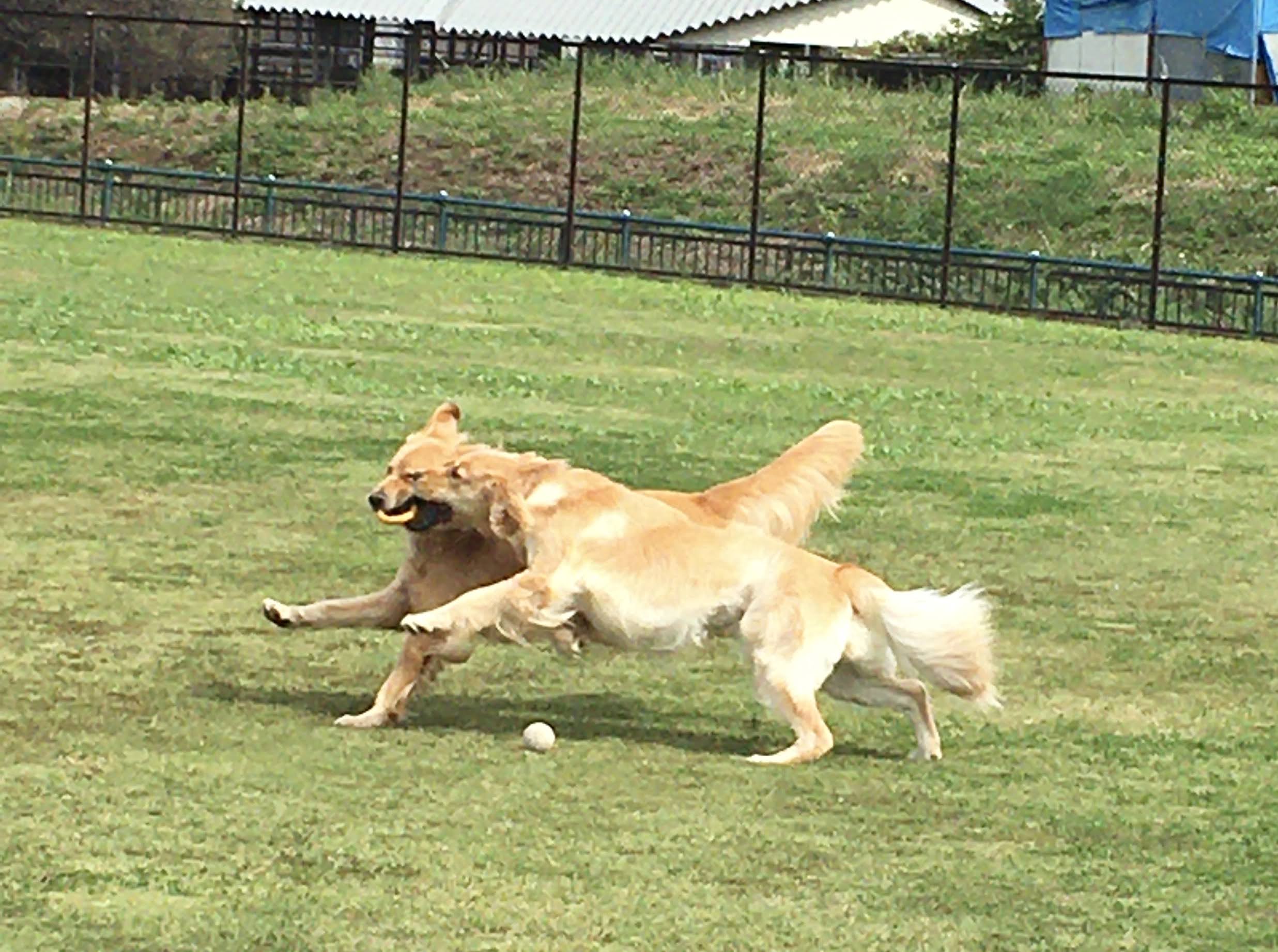 ファイル 8172-5.jpeg