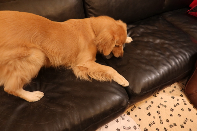 ファイル 8173-4.jpg