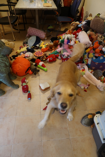 ファイル 8174-1.jpg