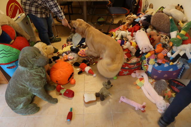 ファイル 8174-2.jpg