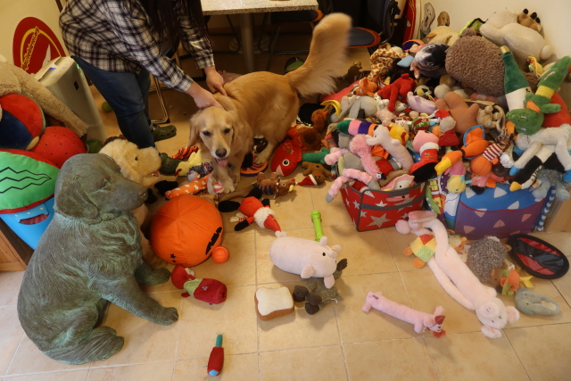 ファイル 8174-4.jpg