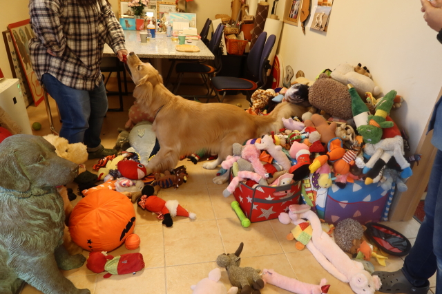 ファイル 8174-5.jpg