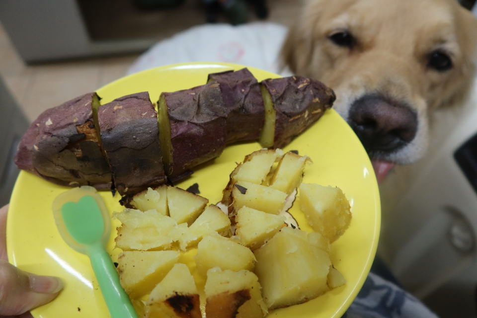 ファイル 8177-1.jpg