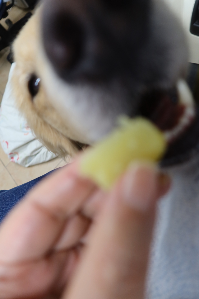 ファイル 8177-2.jpg