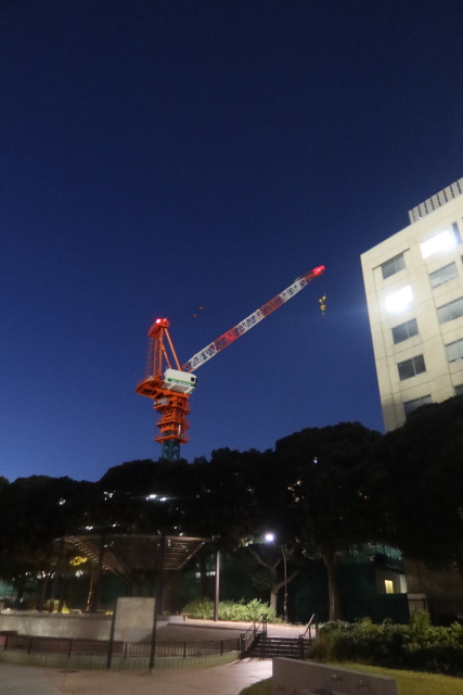 ファイル 8177-4.jpg