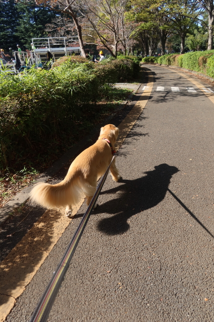 ファイル 8178-2.jpg