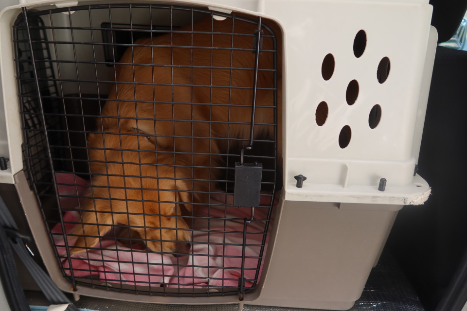 ファイル 8178-4.jpg