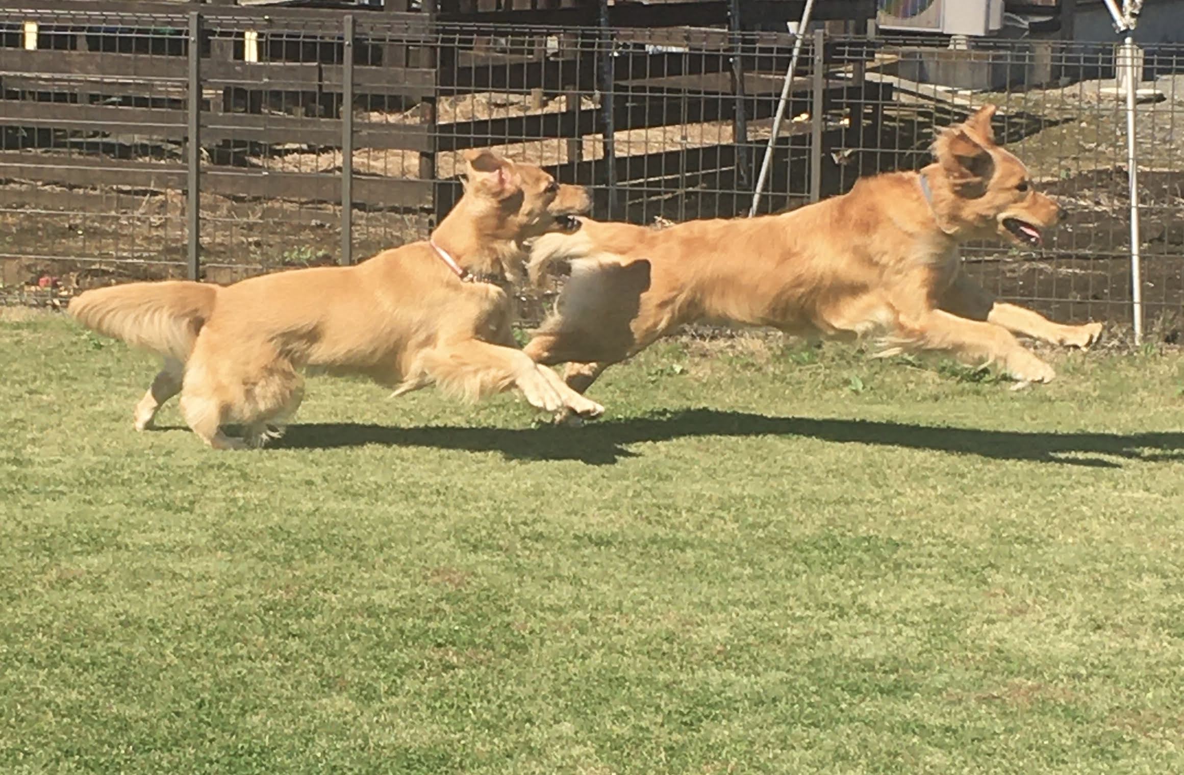 ファイル 8179-4.jpeg