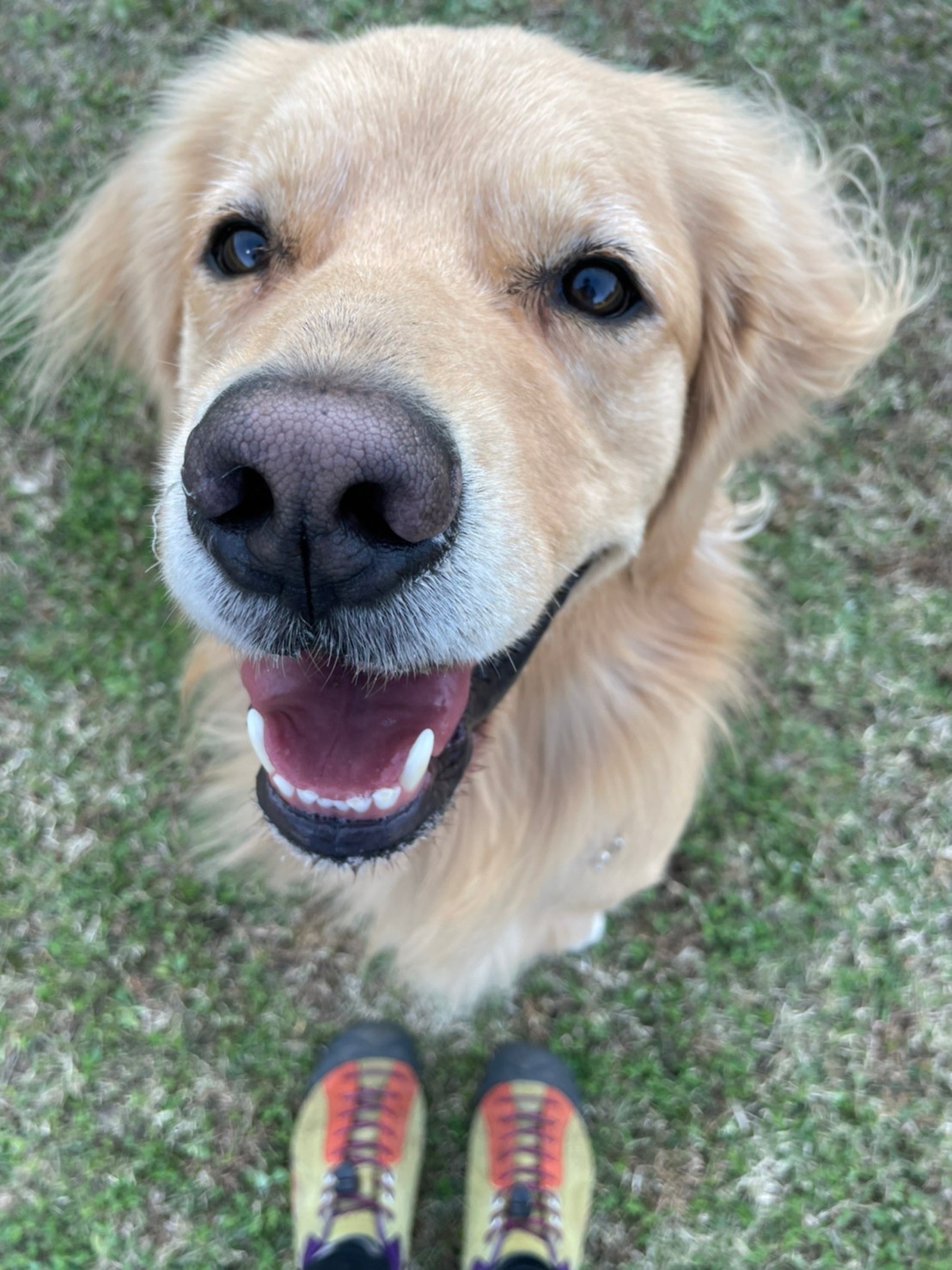 ファイル 8179-5.jpeg