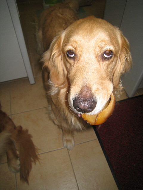 ファイル 818-1.jpg