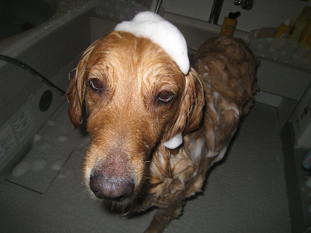 ファイル 818-2.jpg