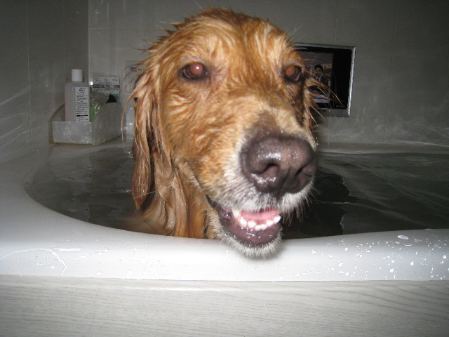 ファイル 818-3.jpg