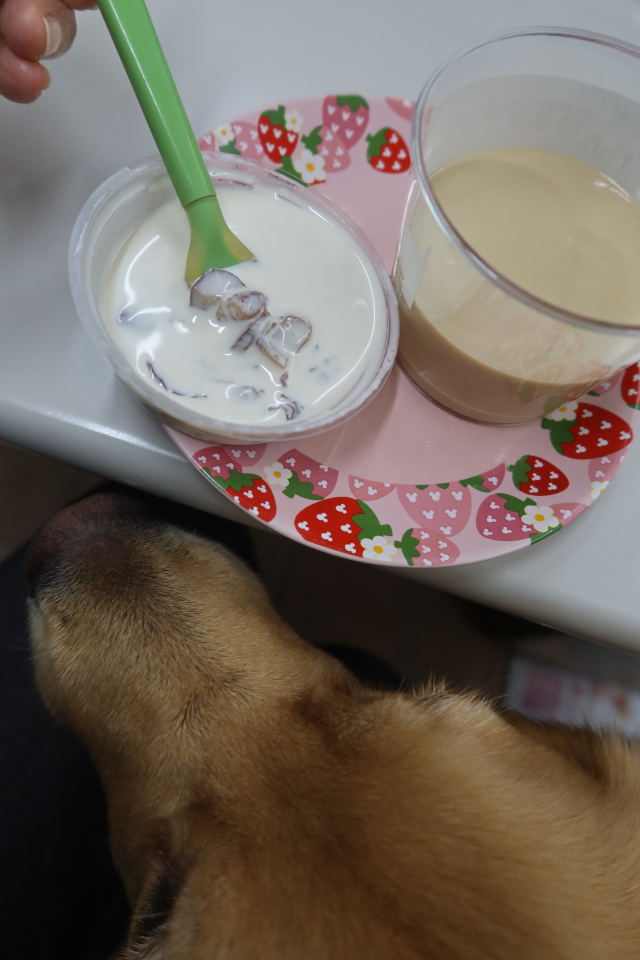 ファイル 8182-2.jpg