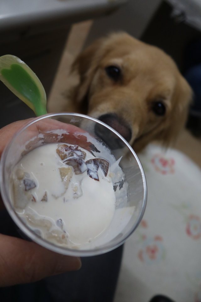 ファイル 8182-3.jpg