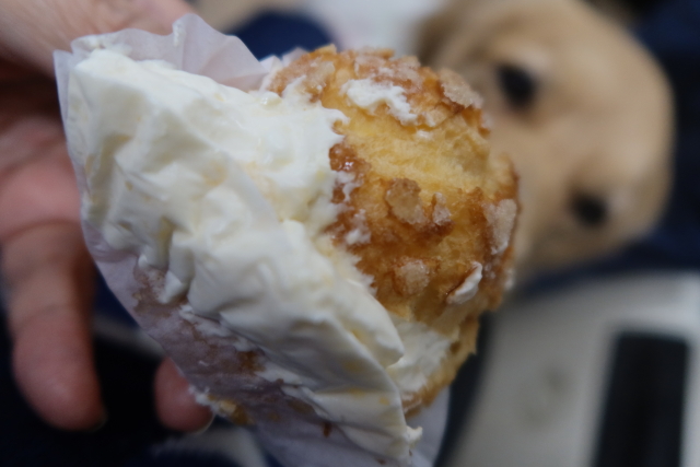 ファイル 8182-4.jpg